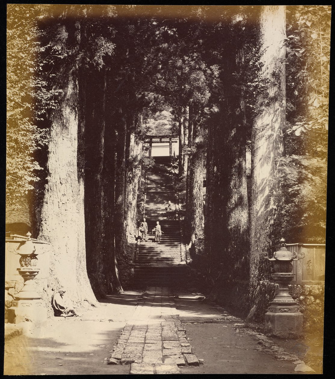 [Allée bordée d