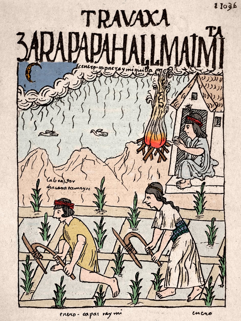 Empire Inca : un couple indien de la classe Hatun Runa travaille la terre en janvier - Dessin à l
