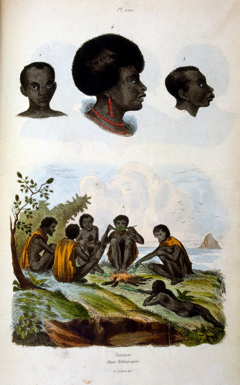 Illustration anthropologique représentant la race éthiopienne - Felix-Edouard Guerin