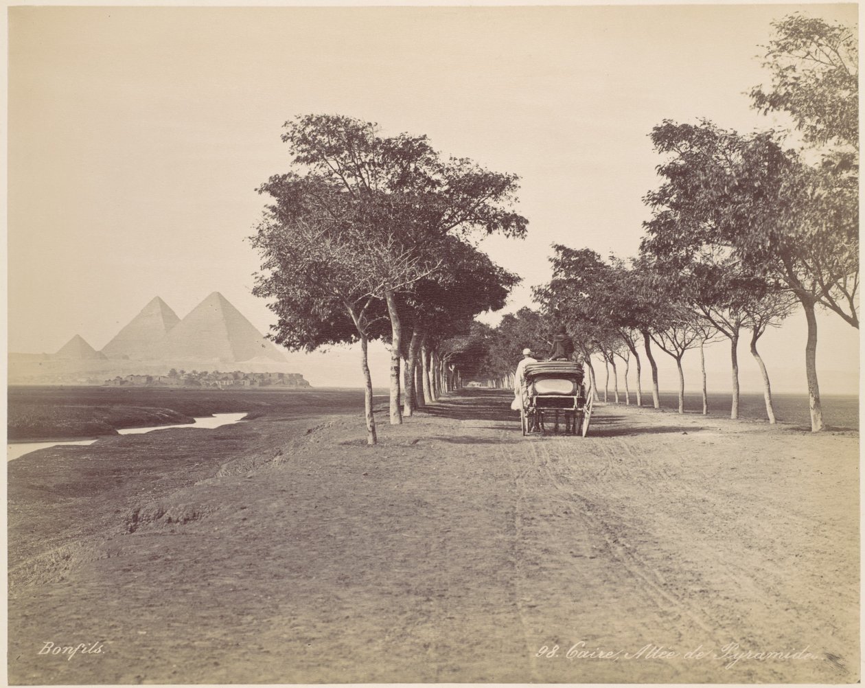 Caire. Allée de Pyramides - Félix Bonfils
