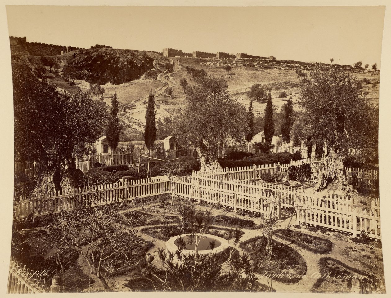 Jardin de Gethséman - Félix Bonfils