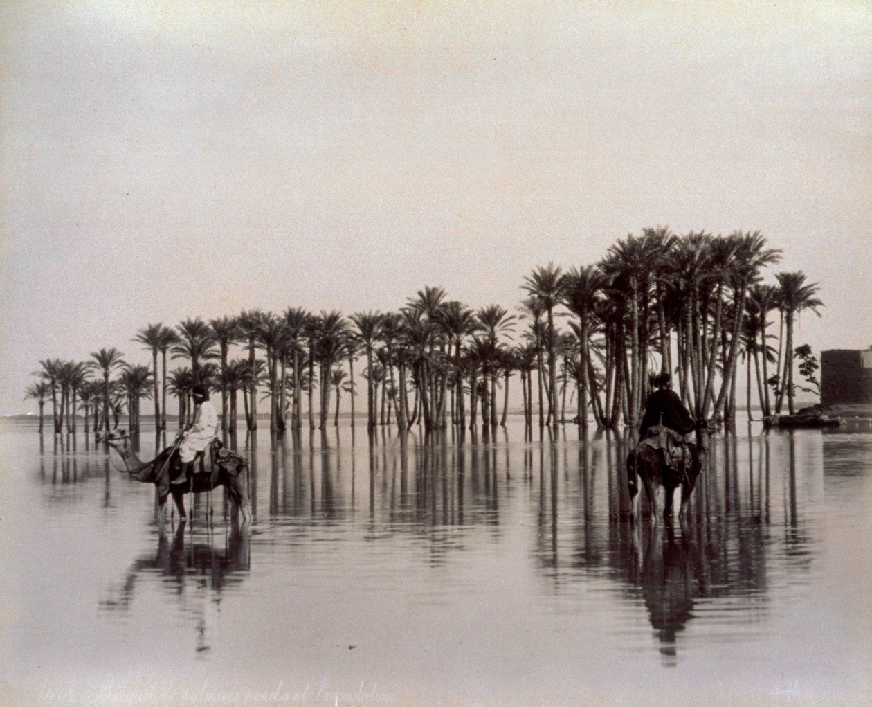 Hommes sur des chameaux traversant une zone désertique égyptienne inondée par le Nil, Égypte - Félix Bonfils