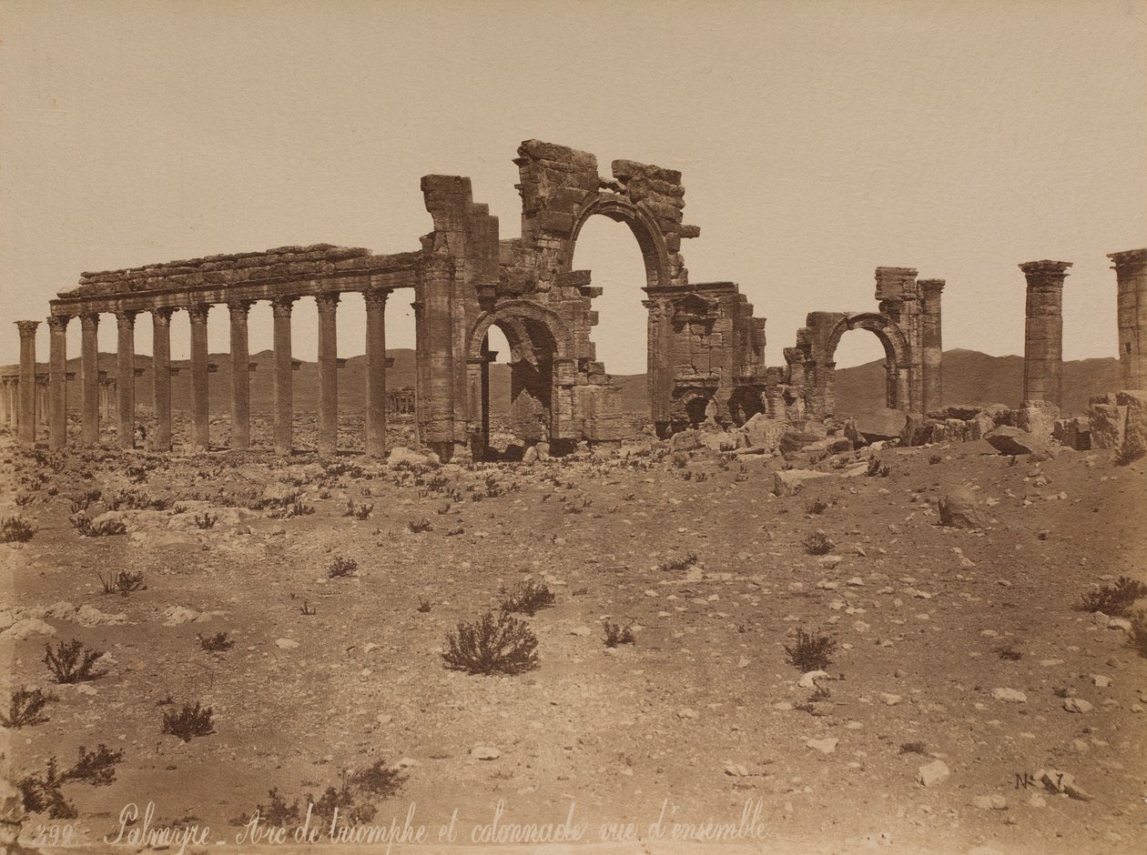 Palmyre : vue d