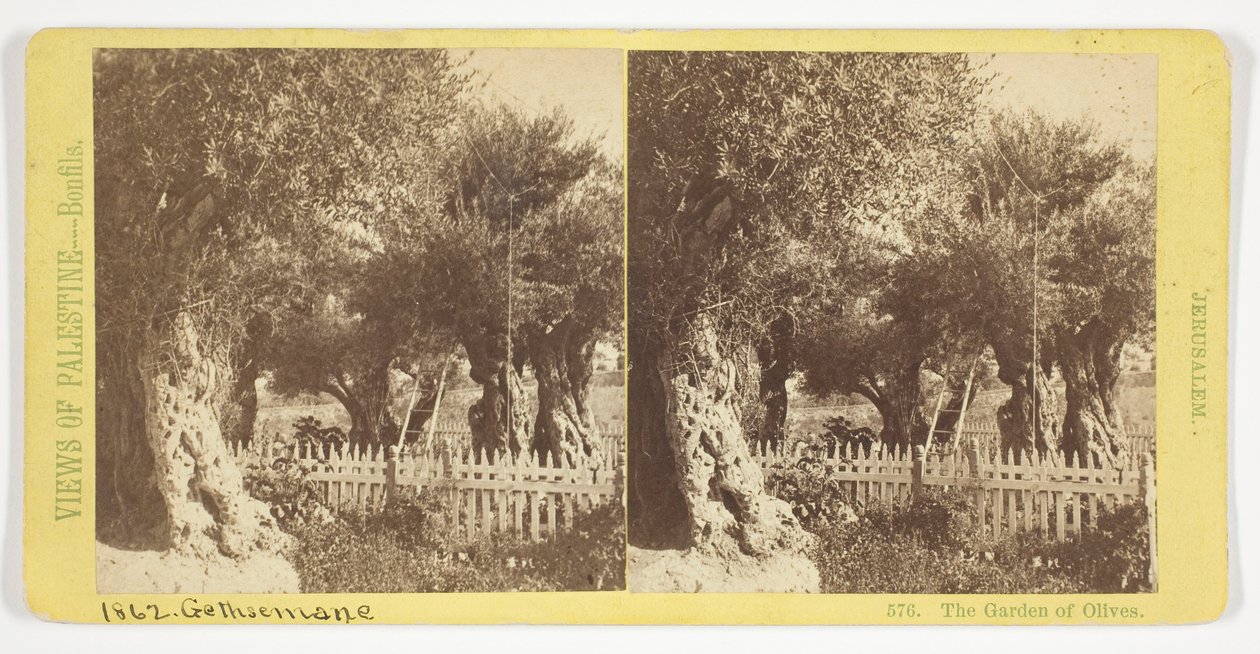 Der Garten der Oliven, Jerusalem, Nr. 576 aus der Serie "Ansichten von Palästina" - Félix Bonfils