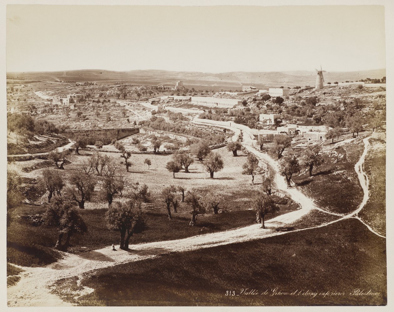 Valle De ... Palestine #313 - Félix Bonfils