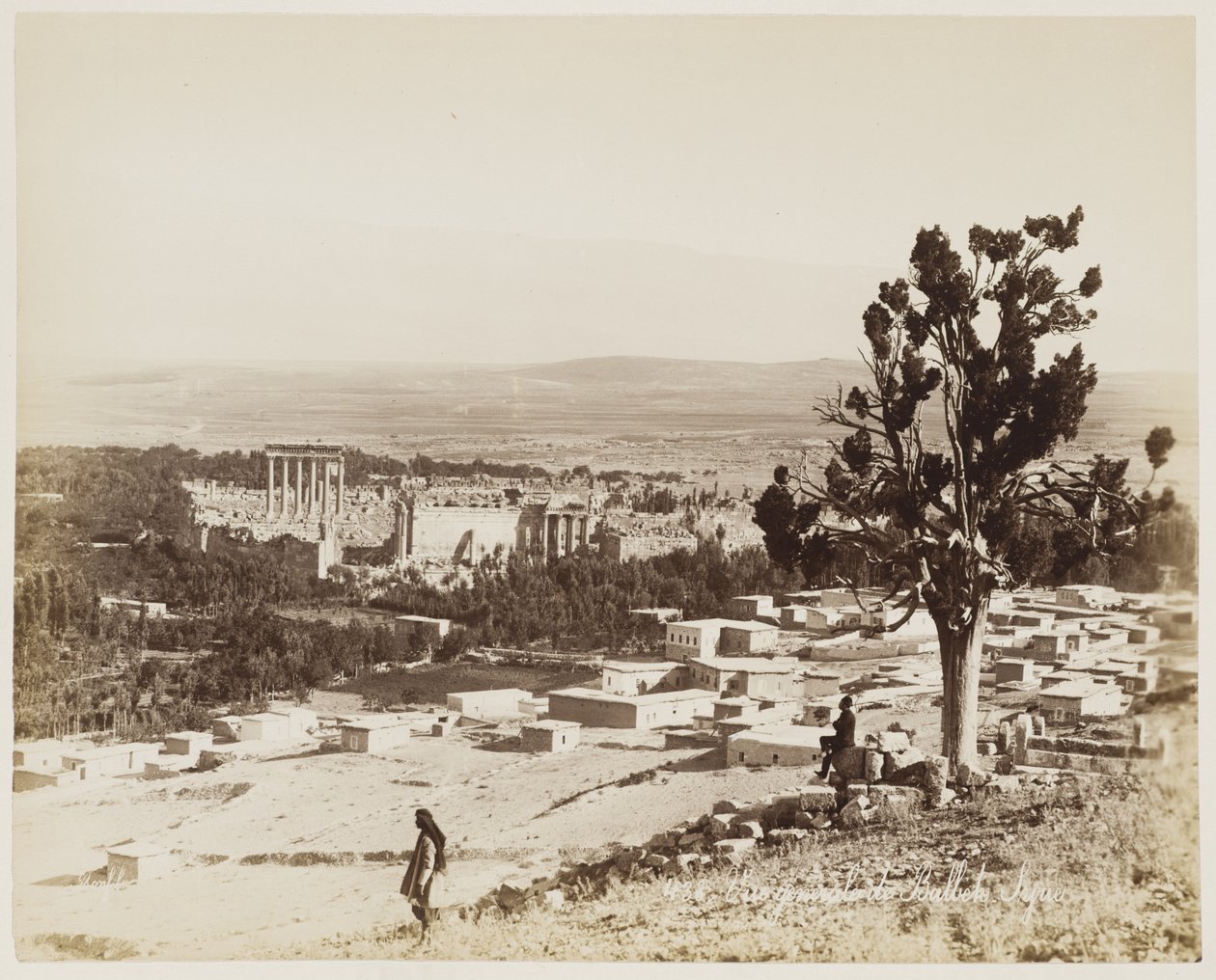 Vue générale de Baalbek, Syrie #438 - Félix Bonfils