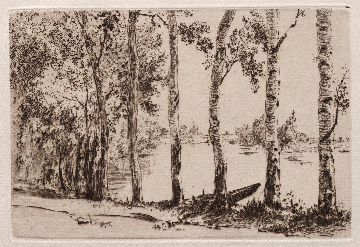 Trembles sur la rive de la Seine - Felix Bracquemond