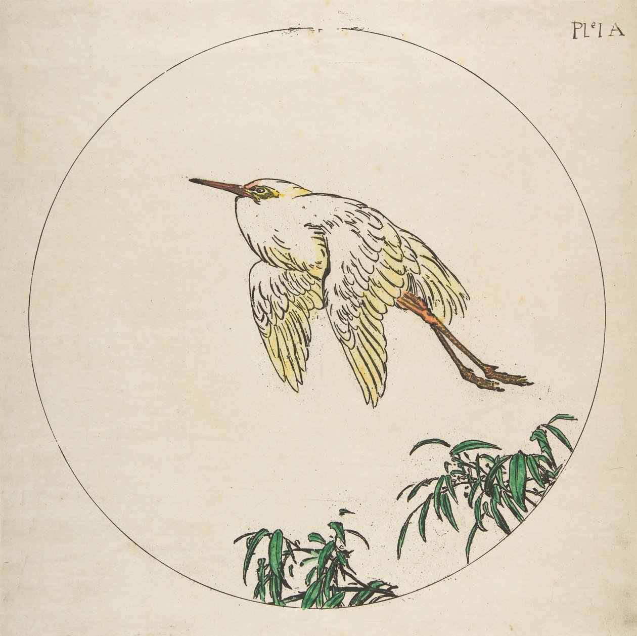 Décoration pour une assiette : Un héron volant au-dessus des branches de bambou, 1850-1914 - Felix Bracquemond