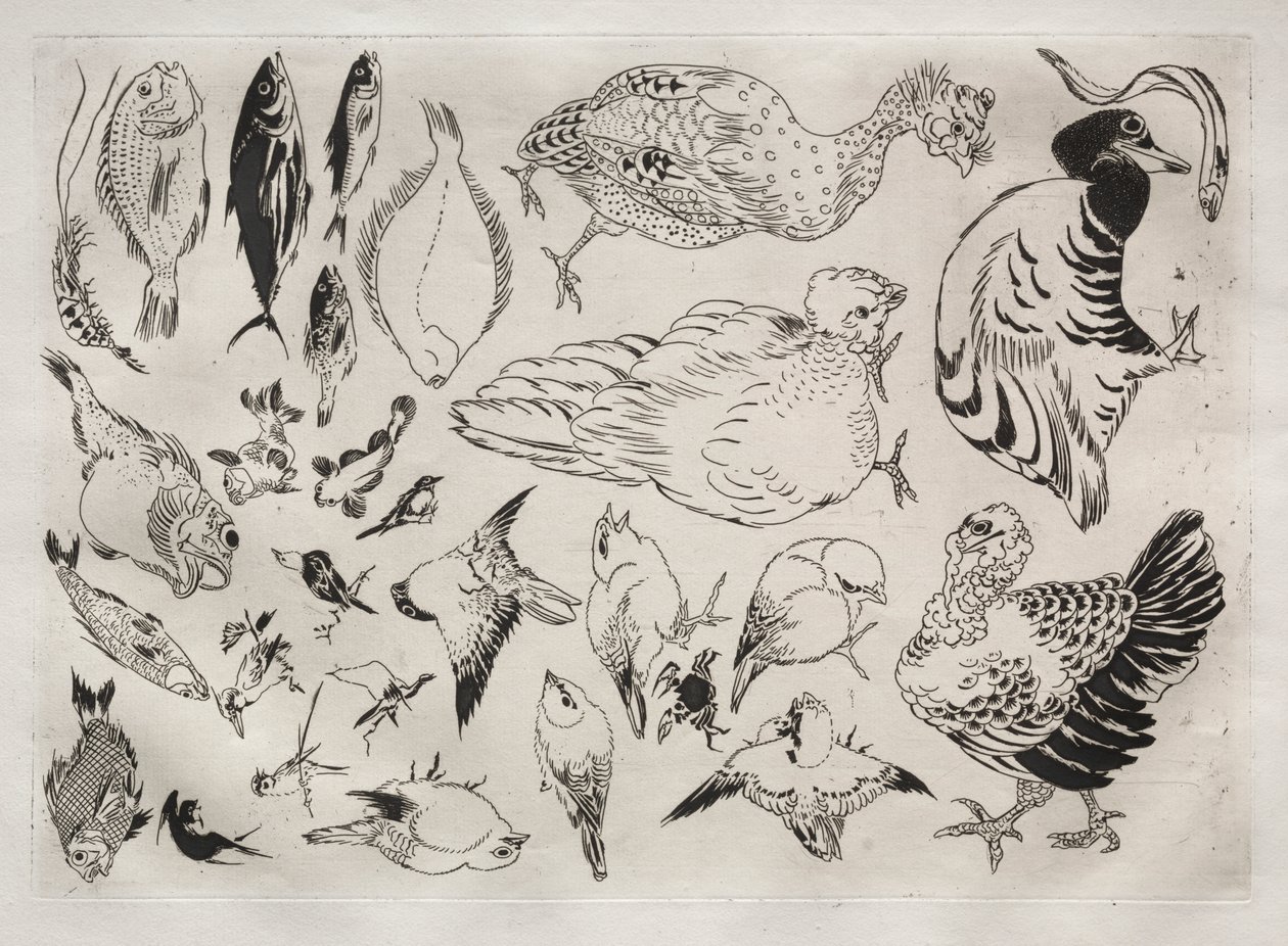 Service de table (service Rousseau) : Canards, poissons, etc. (n° 12) - Felix Bracquemond