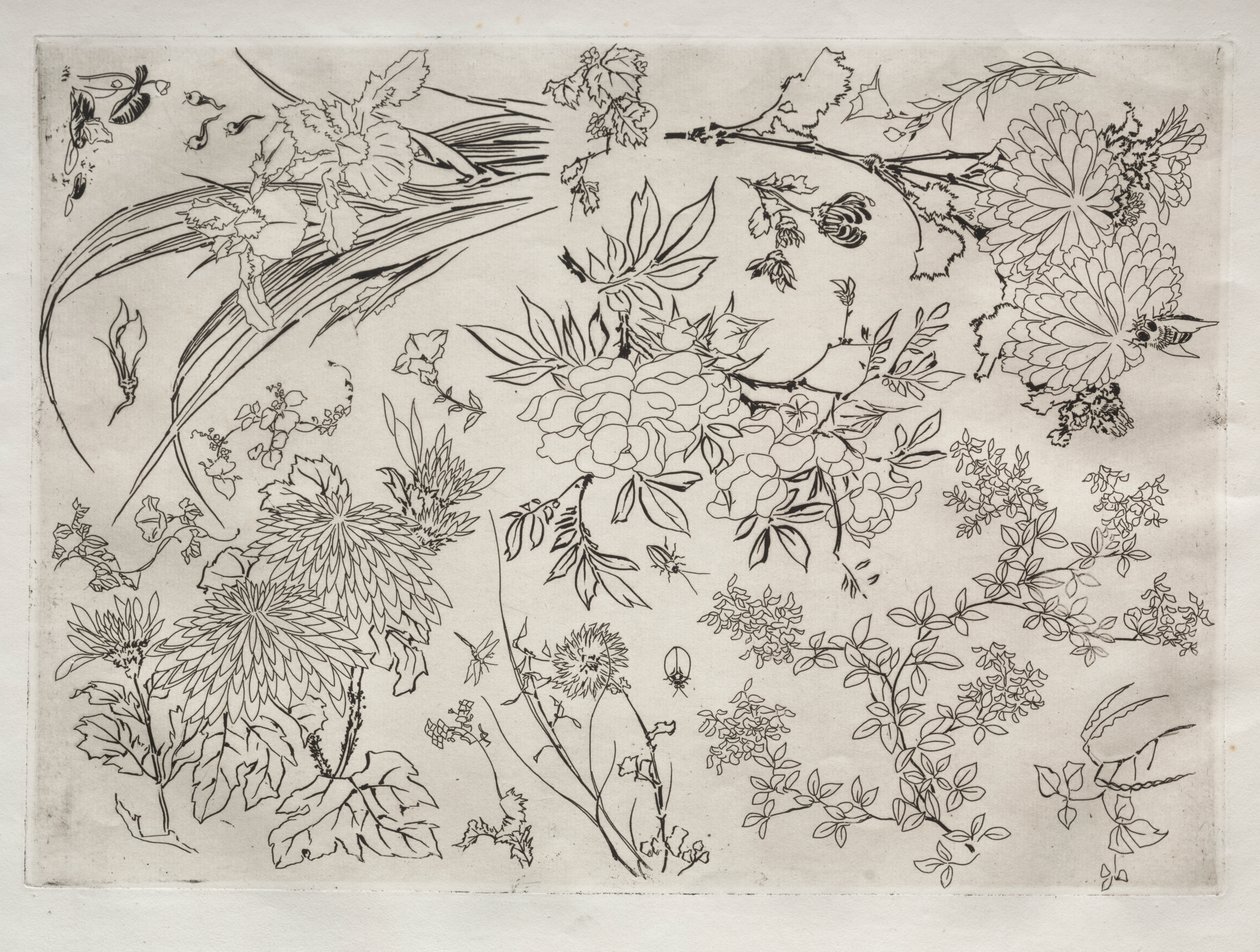 Service de table (service Rousseau) : Fleurs (n° 23) - Felix Bracquemond