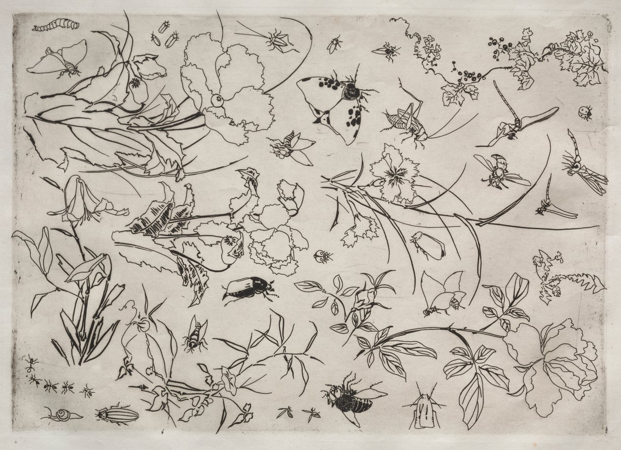 Service de table (service Rousseau) : Fleurs et insectes (n° 15) - Felix Bracquemond