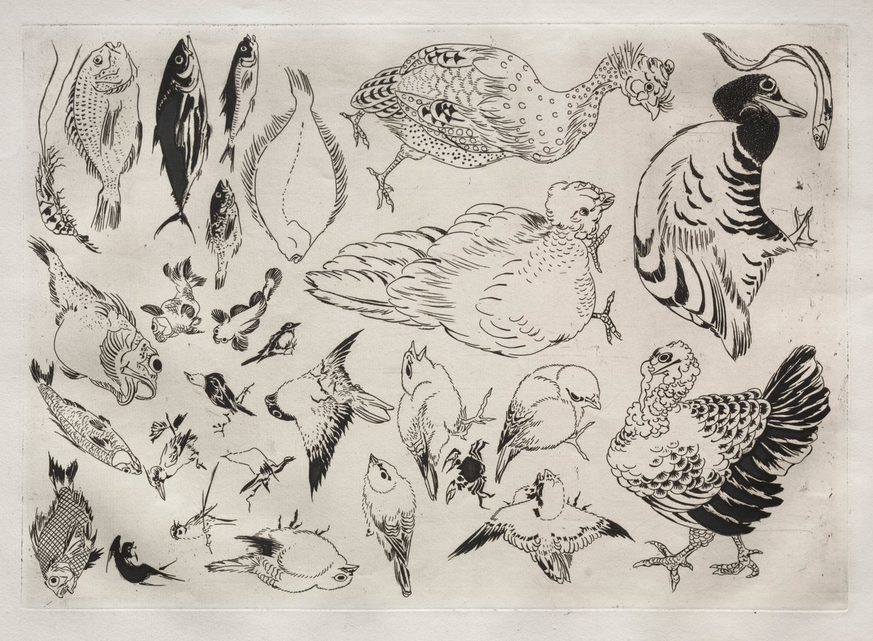 Service de table Rousseau : Canards, poissons, etc. n° 12 - Felix Bracquemond