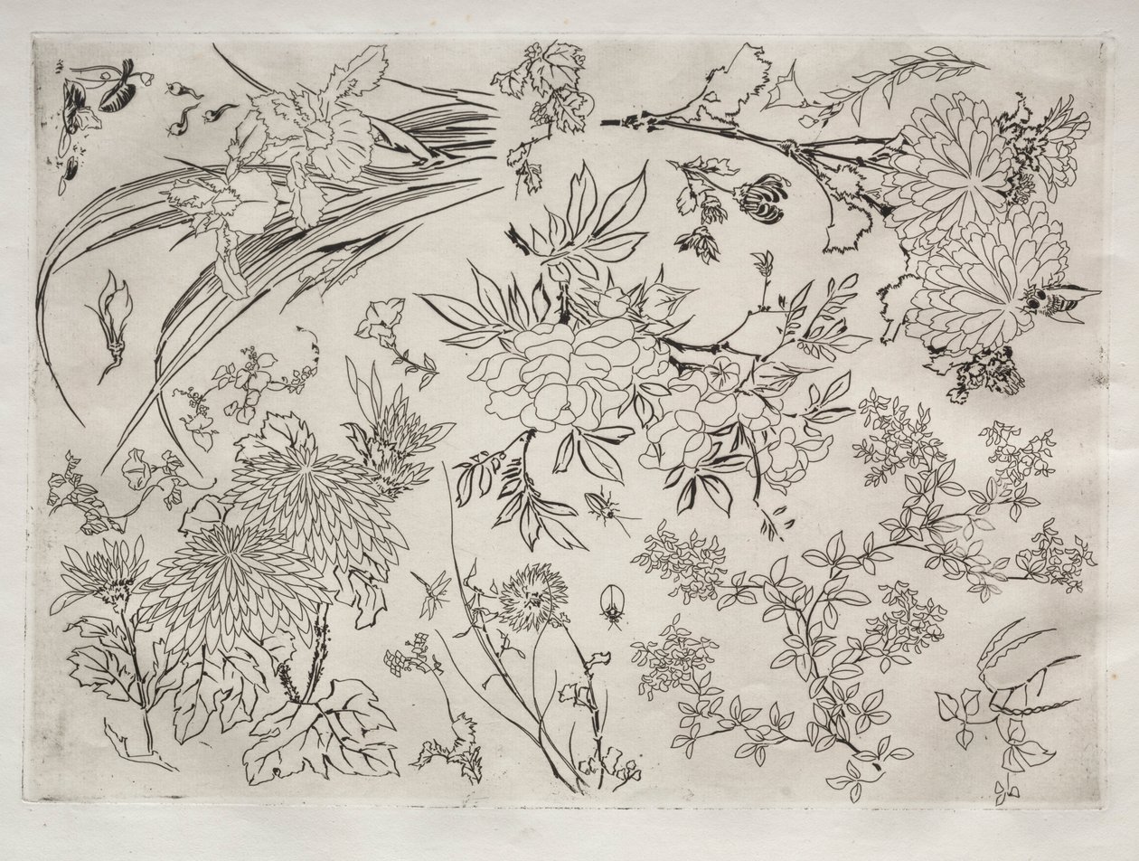 Service de table Rousseau : Fleurs n° 23, 1866 - Felix Bracquemond
