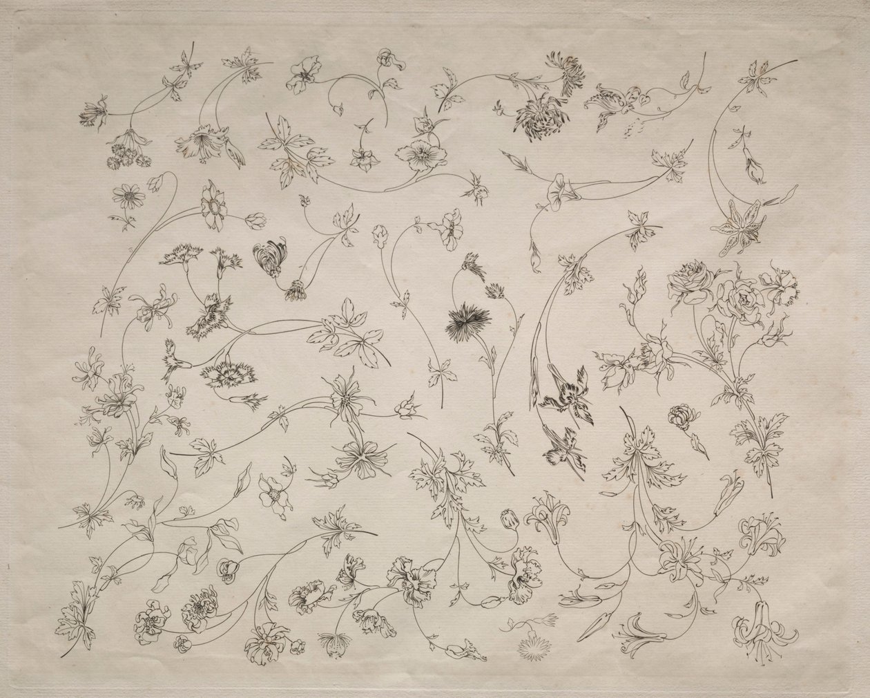 Motifs floraux pour assiettes et bordures (n° 14) - Felix Bracquemond