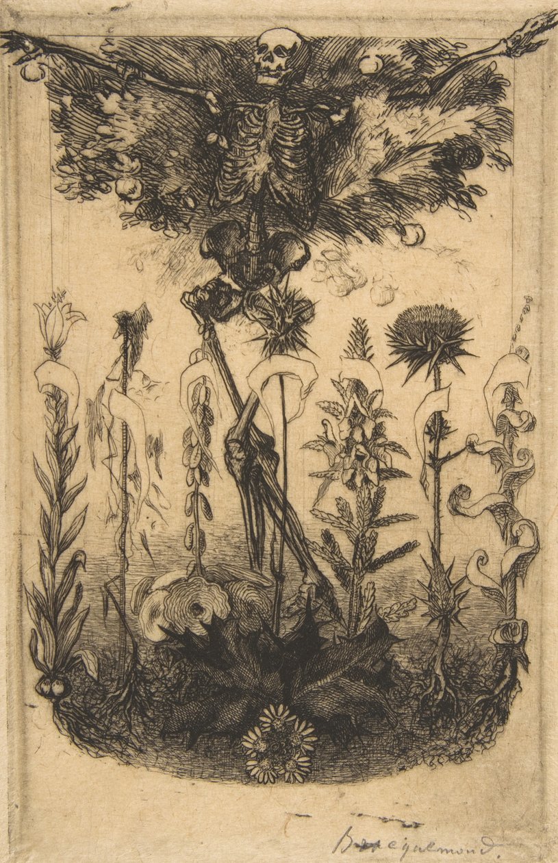 Frontispice pour Les Fleurs du Mal - Felix Bracquemond
