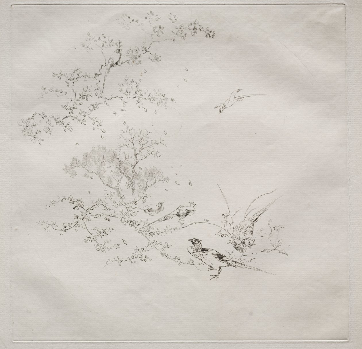 Service parisien (service Haviland) : Brouillard (no. 1) - Felix Bracquemond