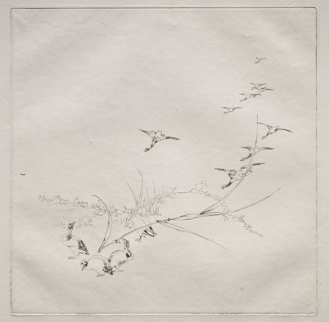 Service parisien (service Haviland) : En plein soleil (no. 9) - Felix Bracquemond
