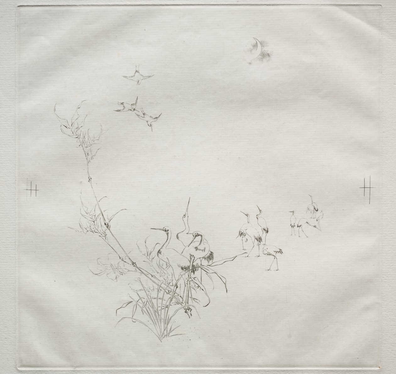 Service parisien (service Haviland) : La Lune (no. 5) - Felix Bracquemond