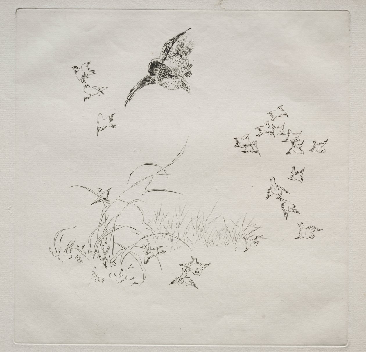 Service parisien (service Haviland) : La Terreur (no. 4) - Felix Bracquemond
