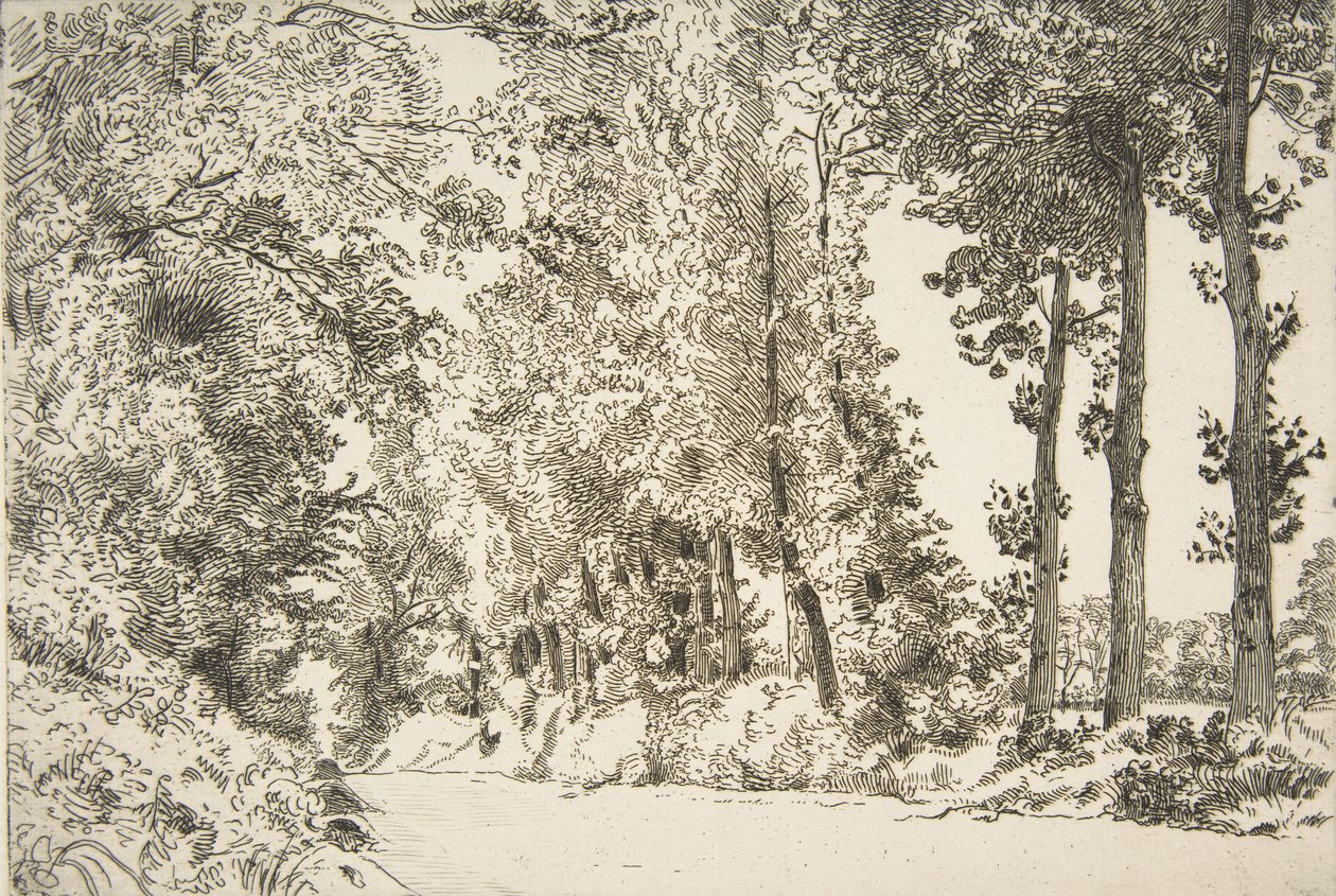 Rue des Bruyères, à Sèvres - Felix Bracquemond