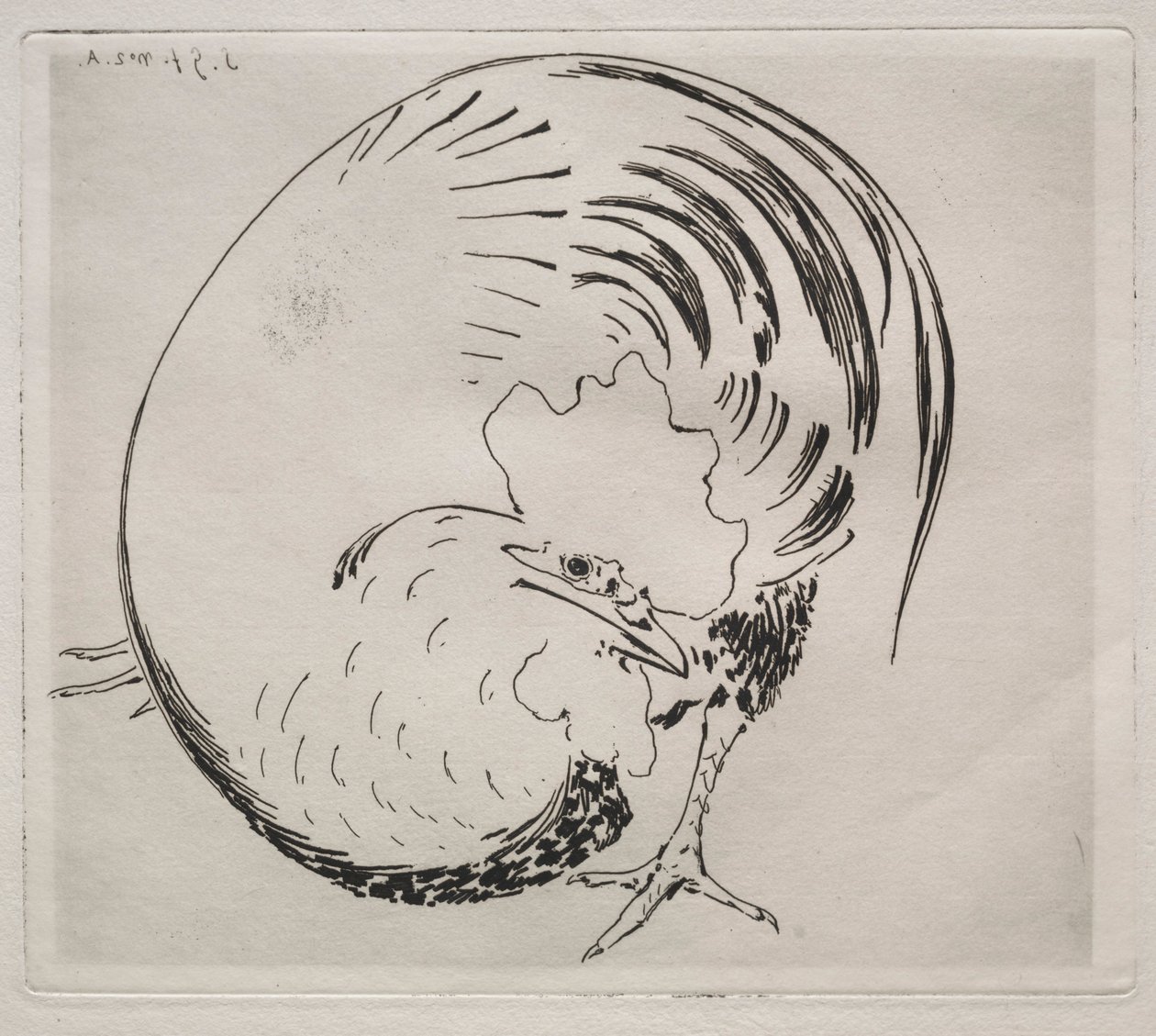 Le service à haute cuisson : Coq, c. 1860 - Felix Bracquemond