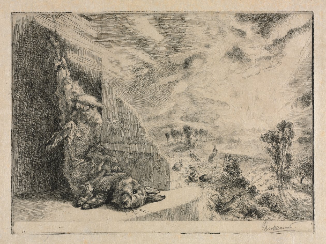 Le lapin sauvage - Felix Bracquemond