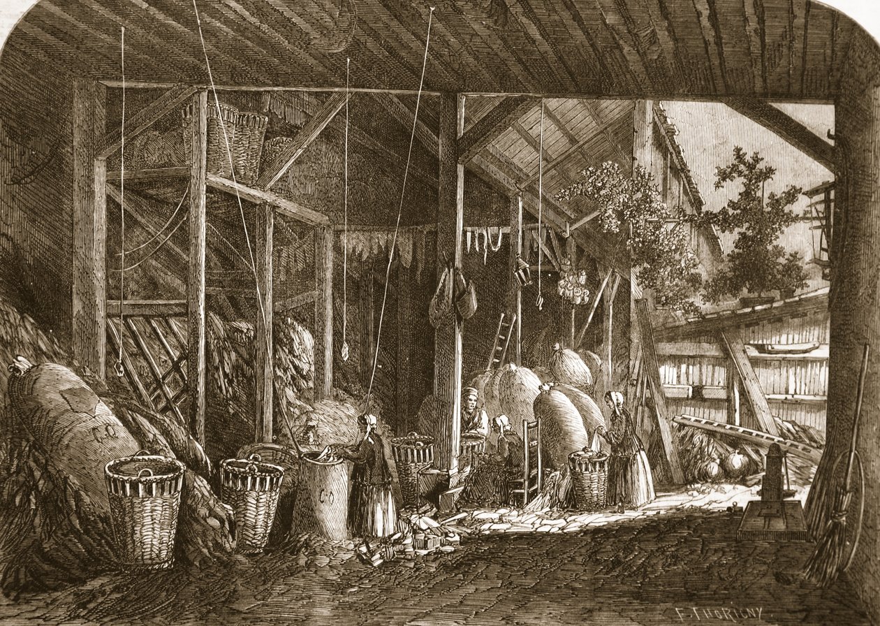 Un entrepôt de chiffons dans le quartier Mouffetard, à Paris, illustration de 