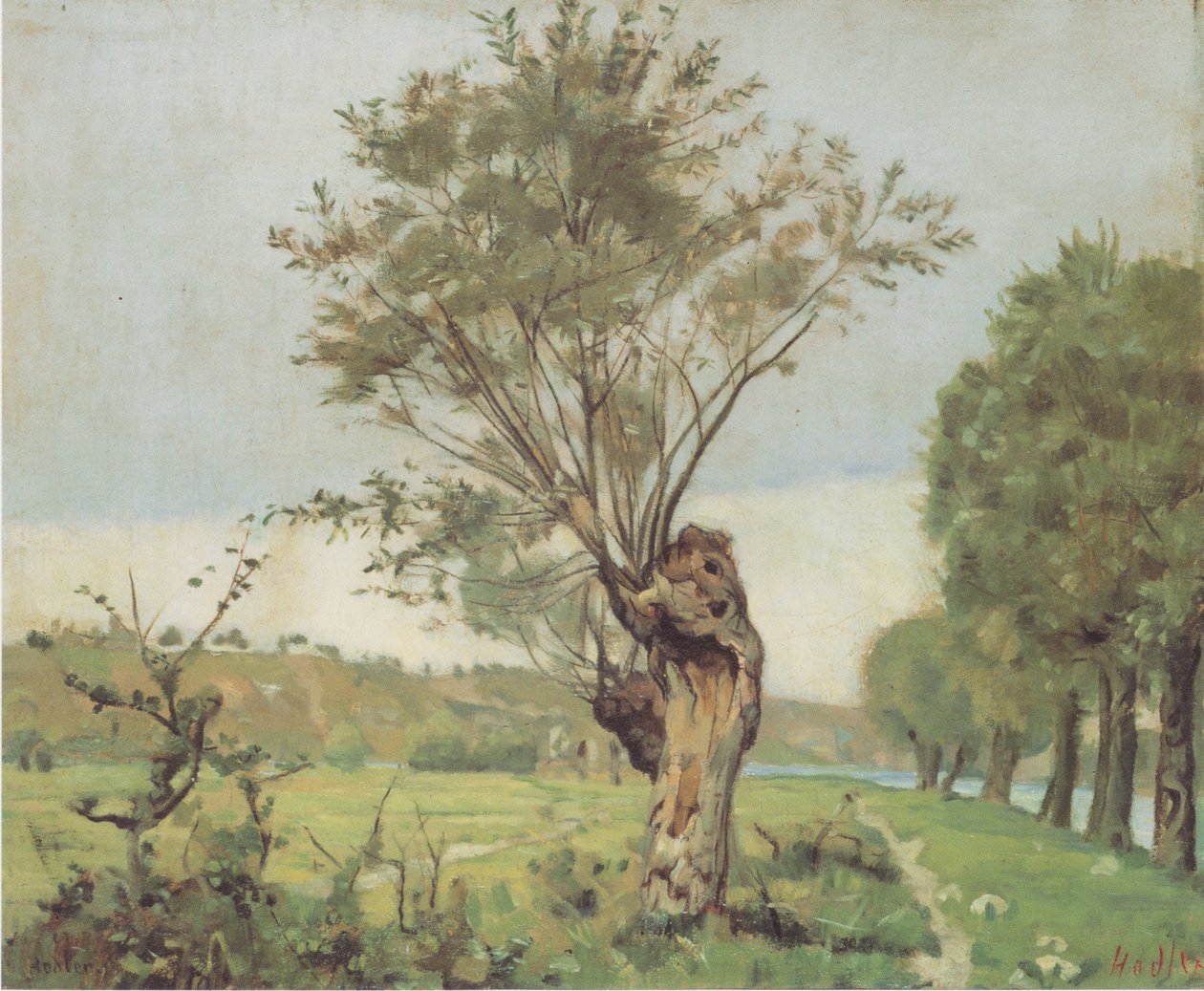 Saules à la Jonction près de Genève - Ferdinand Hodler