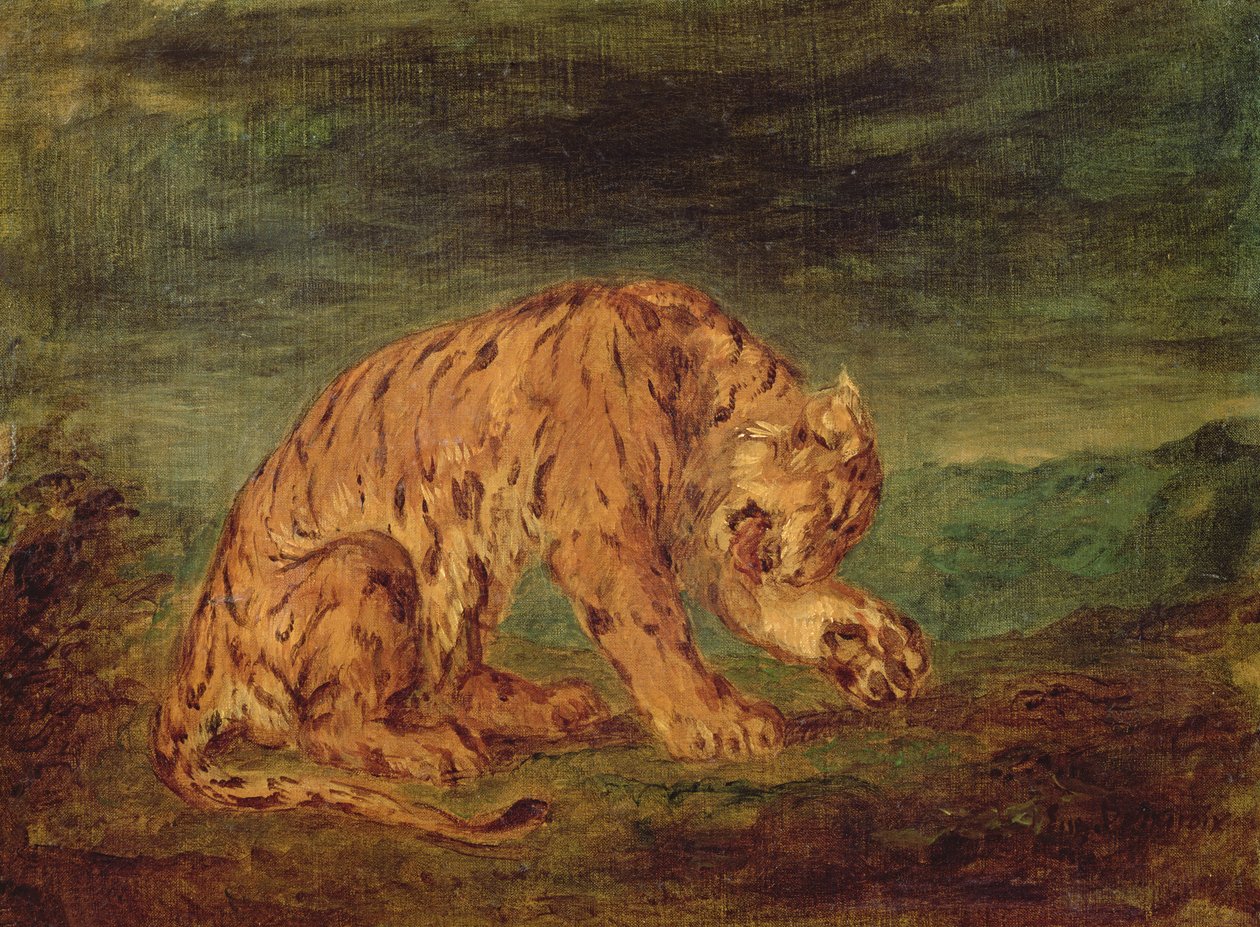Tigre léchant une patte - Ferdinand Victor Eugene Delacroix