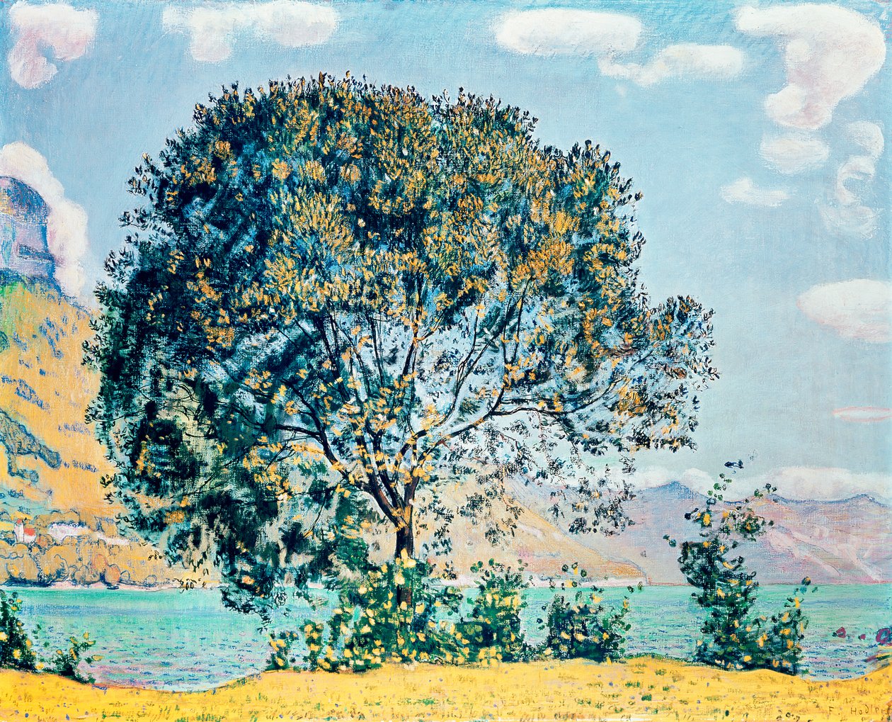 Image inconnue - Ferdinand Hodler