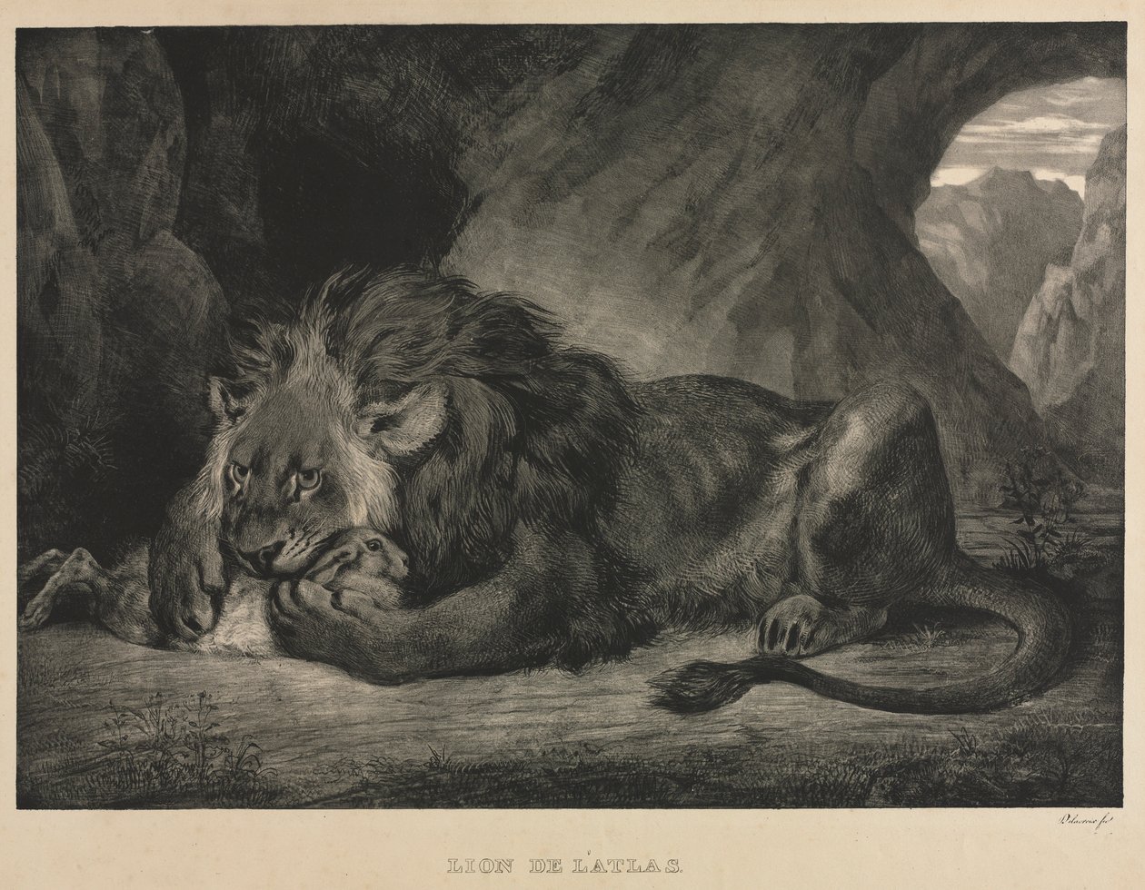 Lion de l
