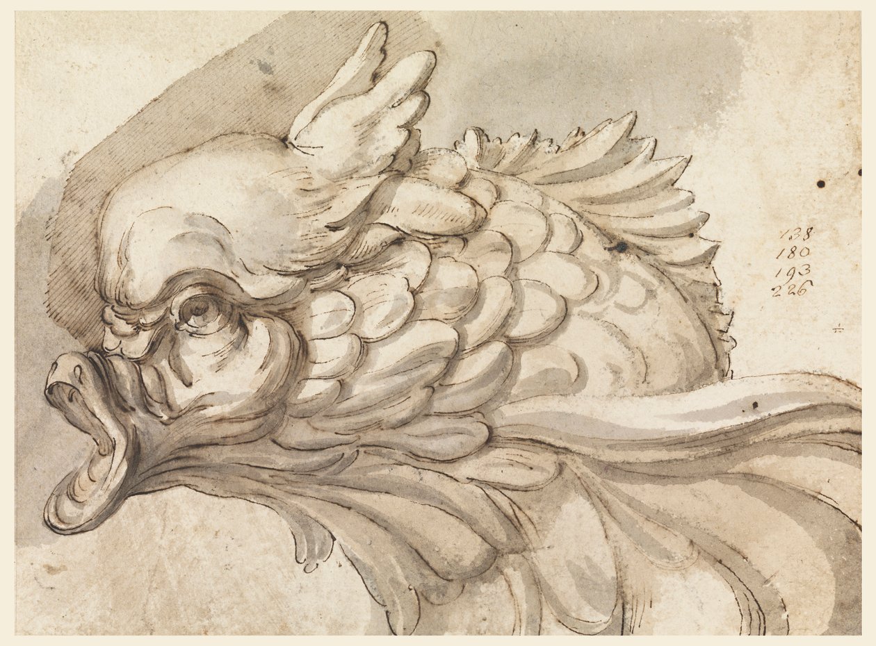 Dessin, Tête de dauphin, vers 1775 - Filippo Marchionni