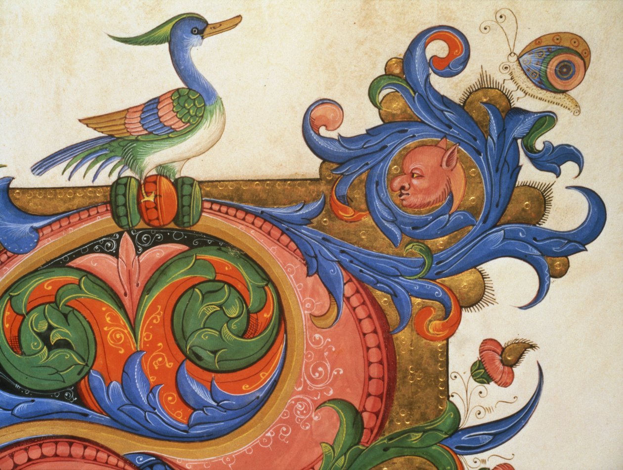 Missel 515 f.92v Feuillage zoomorphe avec oiseau ressemblant à un canard et papillon (détail d