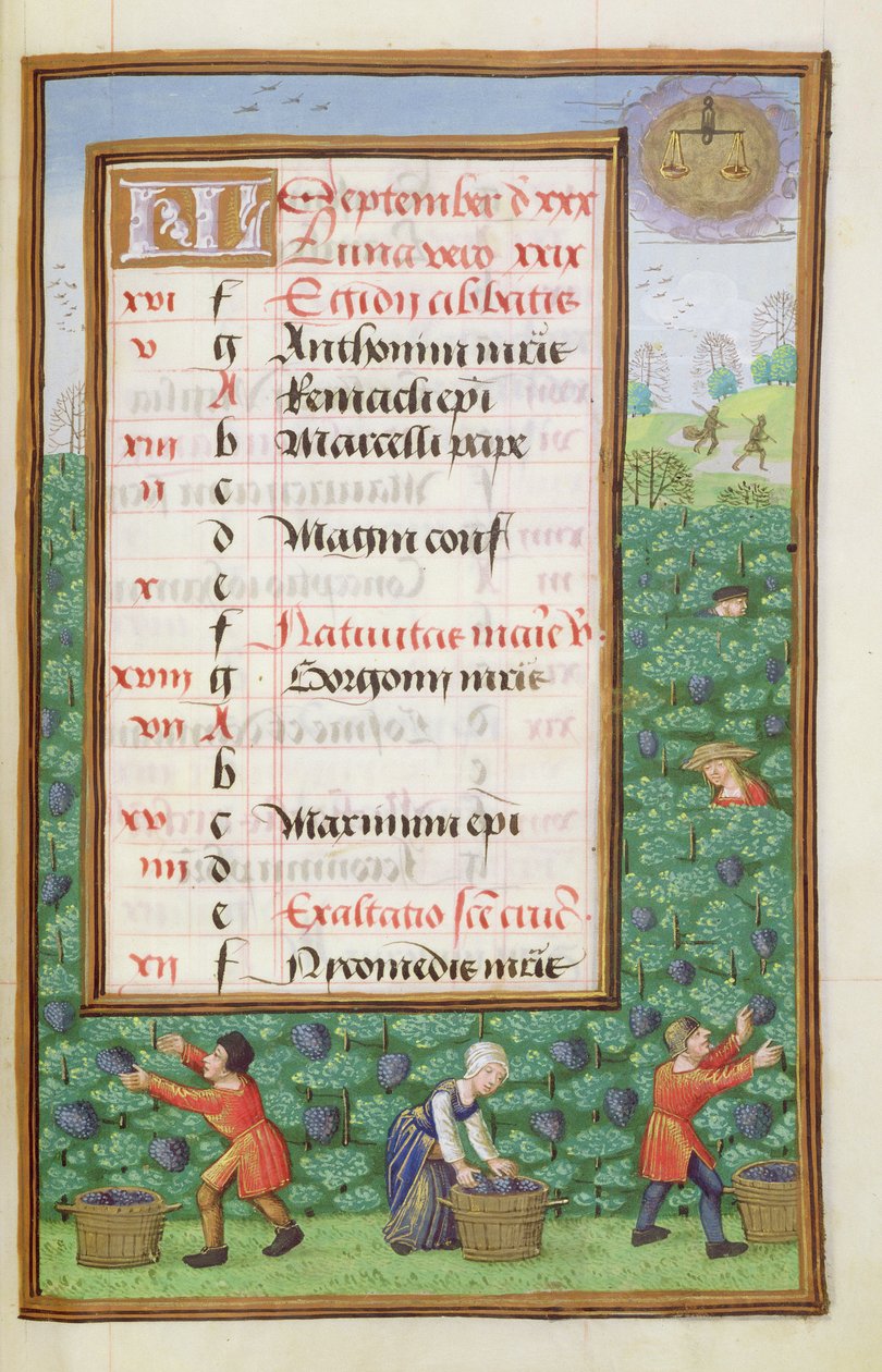 Ms 1058-1975 f9r Récolte des raisins, page de calendrier illuminée pour septembre, d