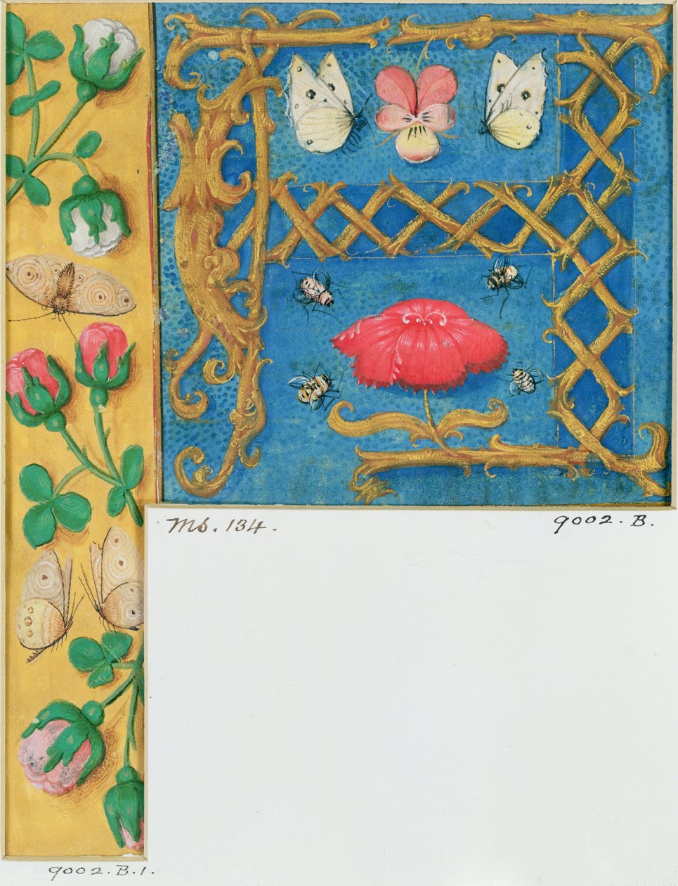 Ms 134 Lettre illuminée `A et bordure latérale de fleurs, d