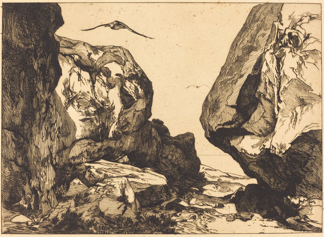 Gorge dans les rochers - Félix Bracquemond after Jules Laurens