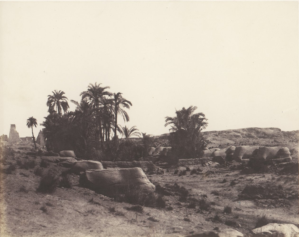 Karnak Thèbes, Avenue des Sphinx - Vue générale prise du point G, 1851-52, imprimé 1853-54 - Félix Teynard