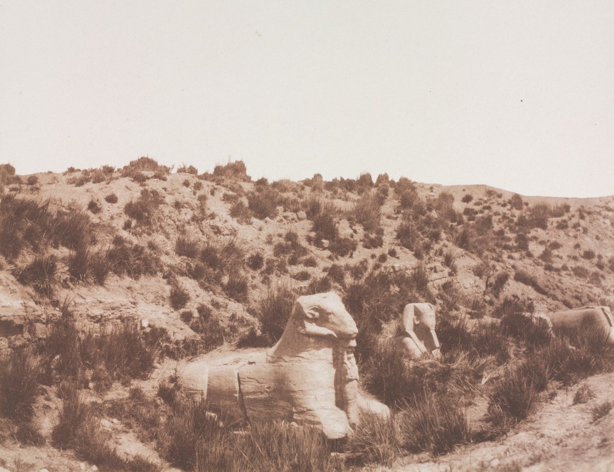 Sphinx à tête humaine et à tête de bélier au point Y. Karnak (Thèbes) - Félix Teynard