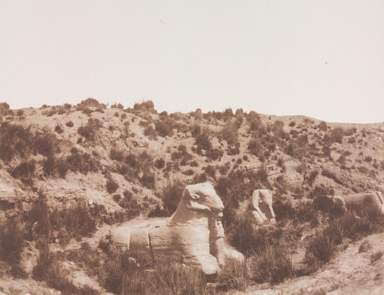 Sphinxes à tête humaine et à tête de bélier à Point Y. Karnak Thèbes, 1851-1852 - Félix Teynard