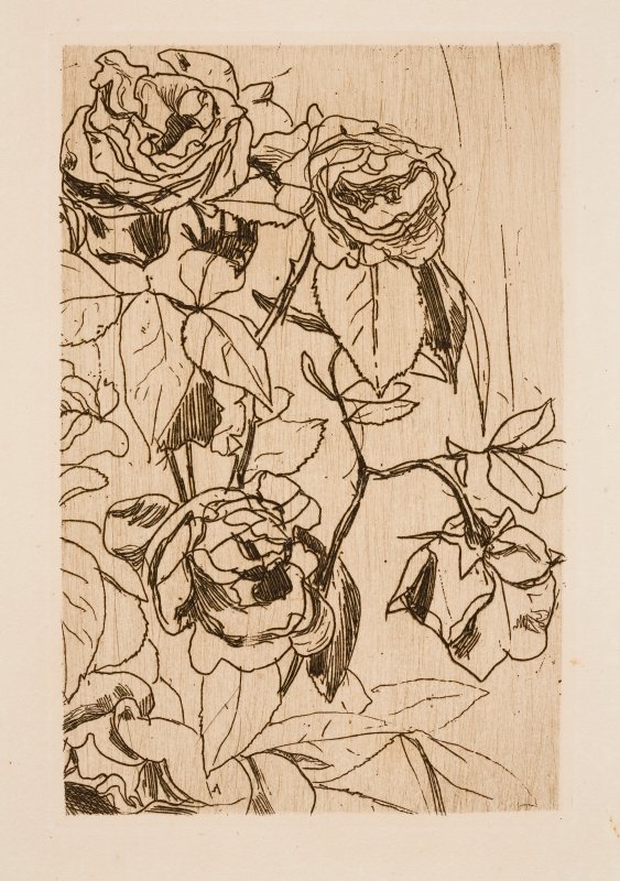 Étude de roses - Floris Verster