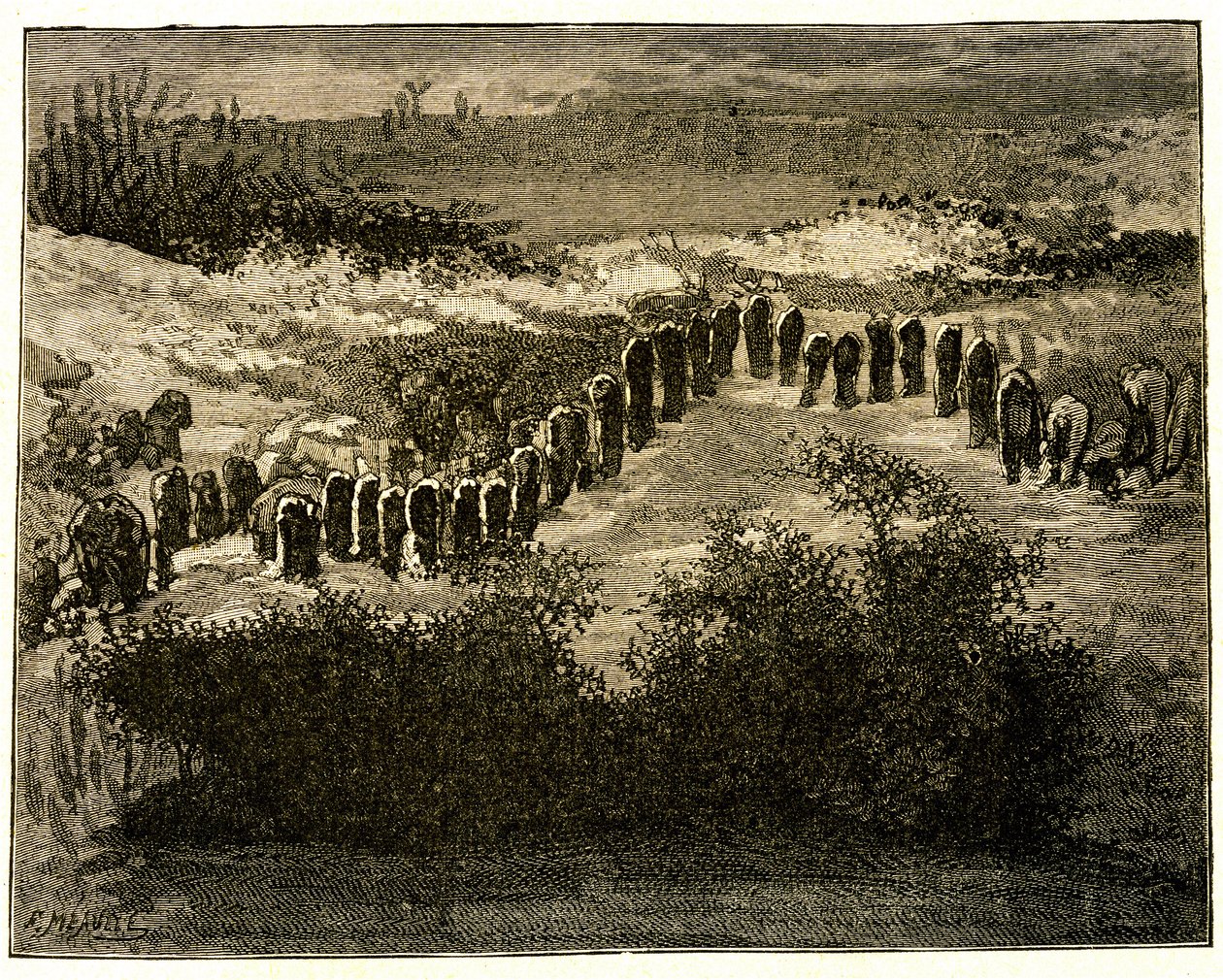 Alignements de menhirs de Carnac. Dessin de Victor Hugo gravé par Meaulle. Extrait du texte de Hugo (En voyage en Bretagne) - Fortune Louis Meaulle