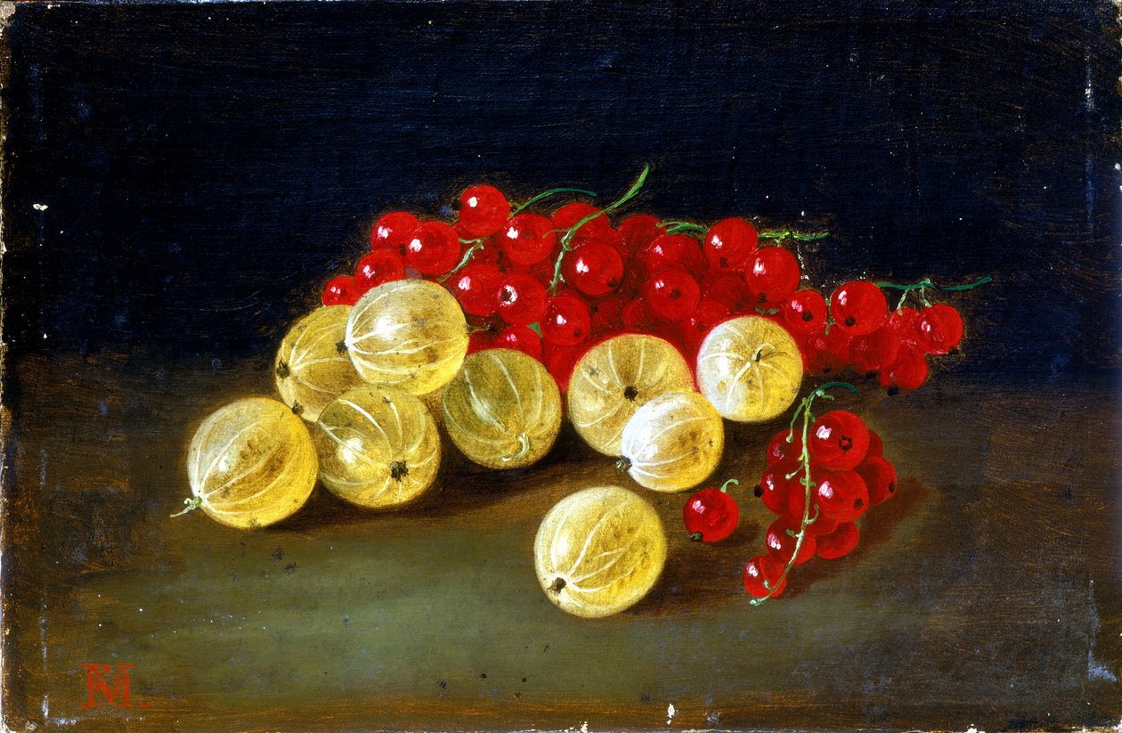 Raisins de Saint Jean - Francesco Malacrea