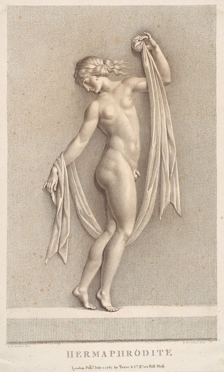 Hermaphrodite - Francesco Bartolozzi