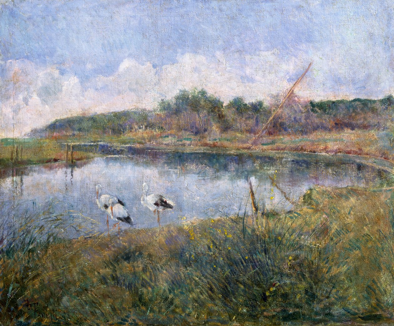 Massaciuccoli - Francesco Fanelli