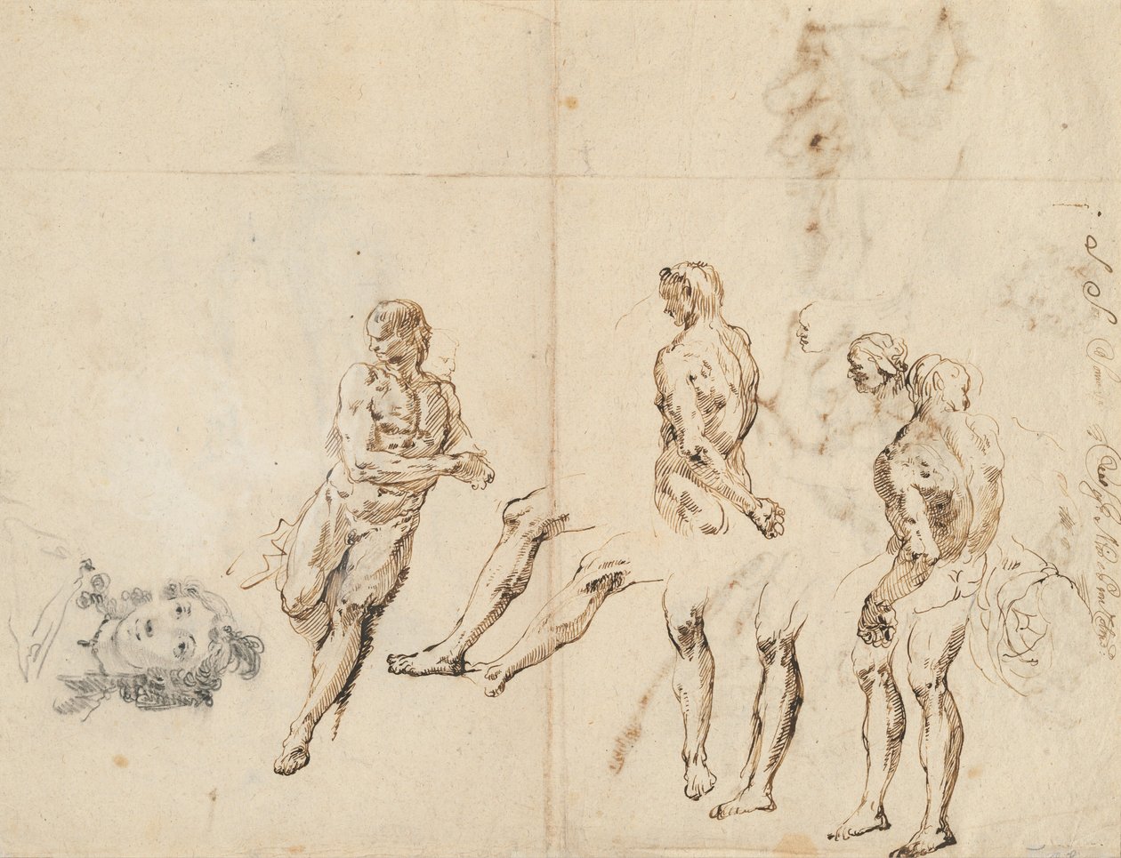 Tête de femme et études de nu masculin [verso] - Francesco Fontebasso