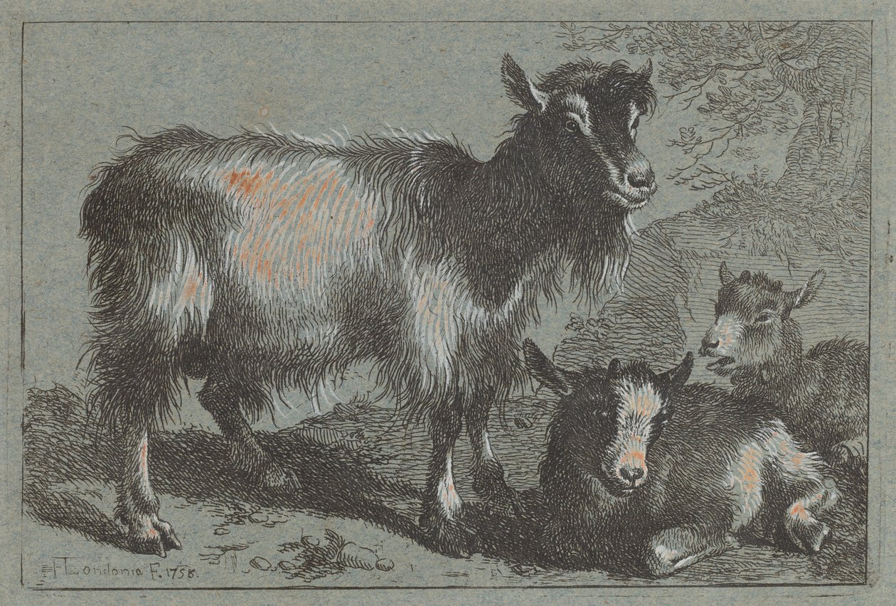 Chèvre et Deux Chevreaux, 1758 - Francesco Londonio