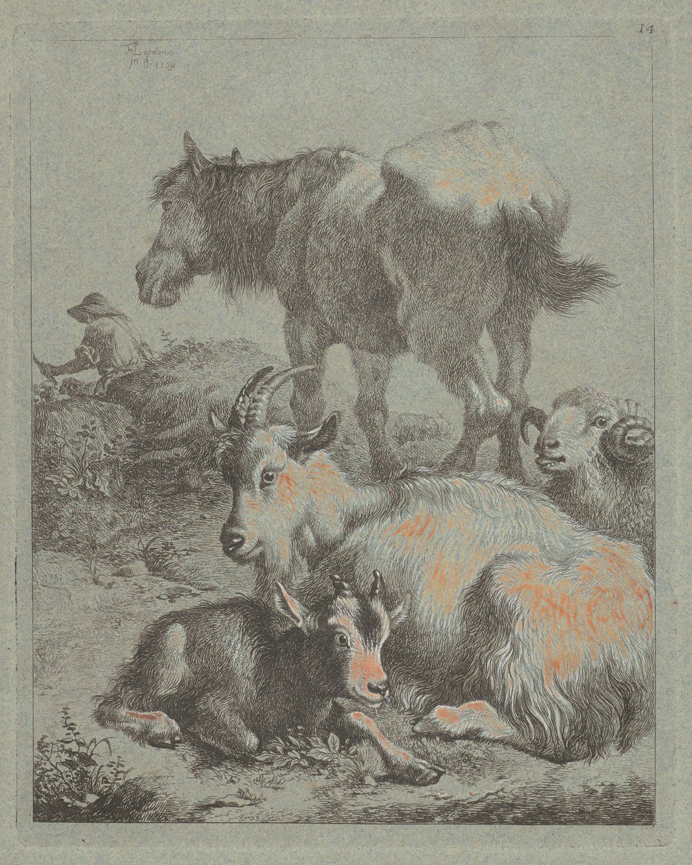 Cheval, bélier, chèvre avec chevreau, au loin un berger avec troupeau, 1759 - Francesco Londonio