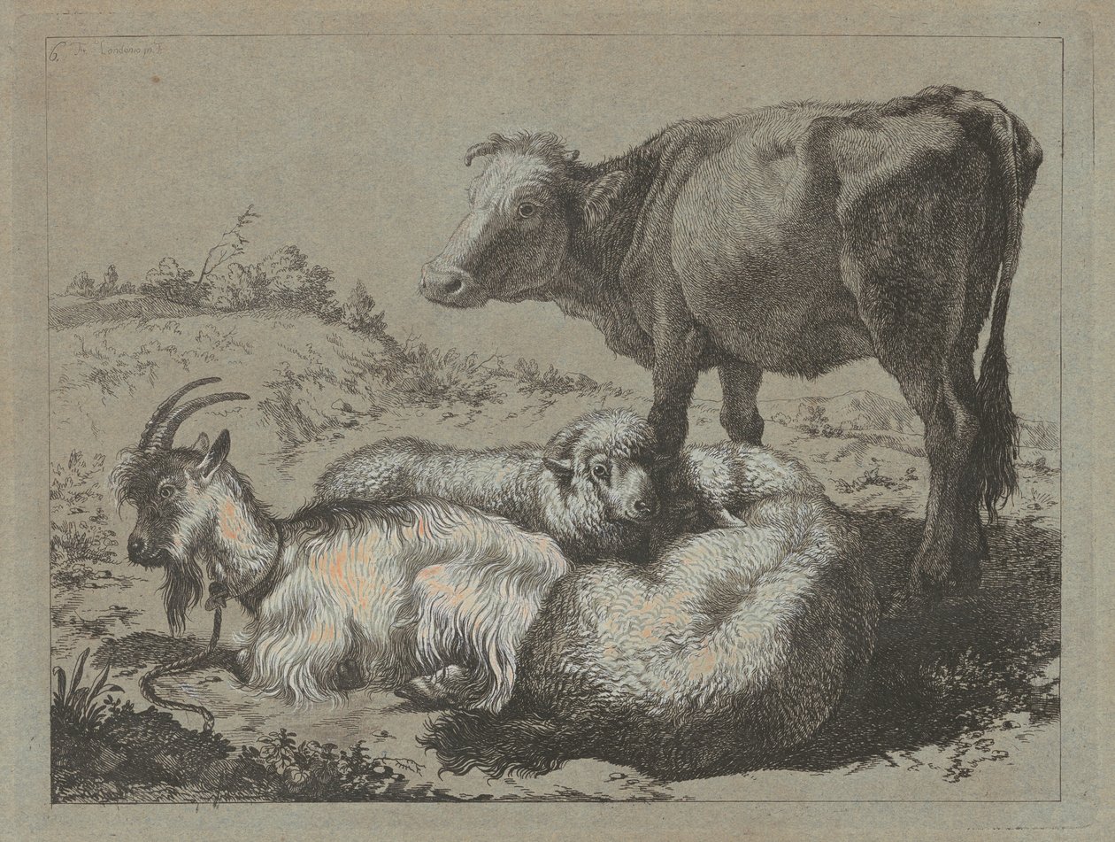 Bœuf debout, deux moutons et une chèvre, vers 1762 - Francesco Londonio