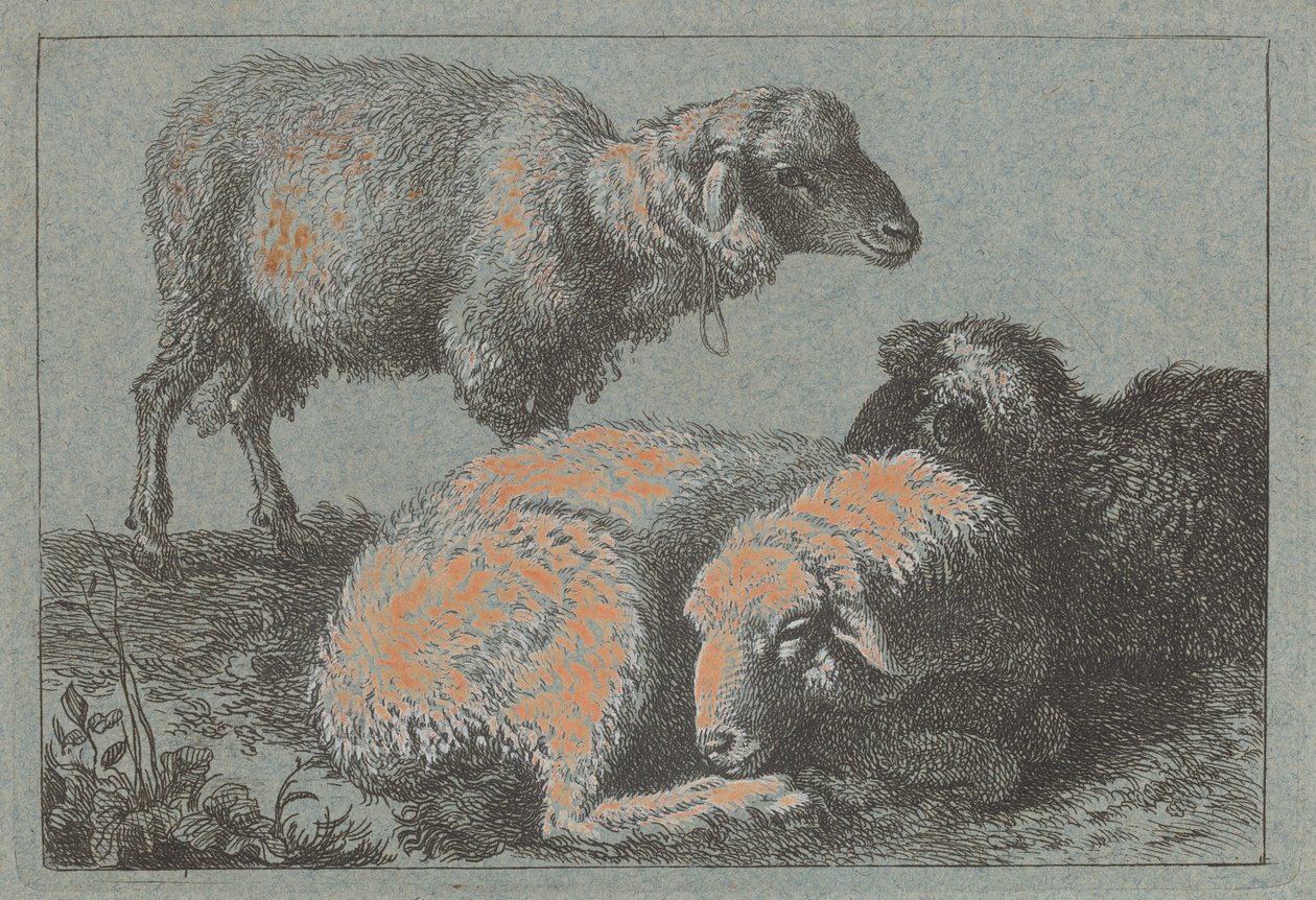 Deux moutons couchés et un mouton debout, 1757-1758 - Francesco Londonio