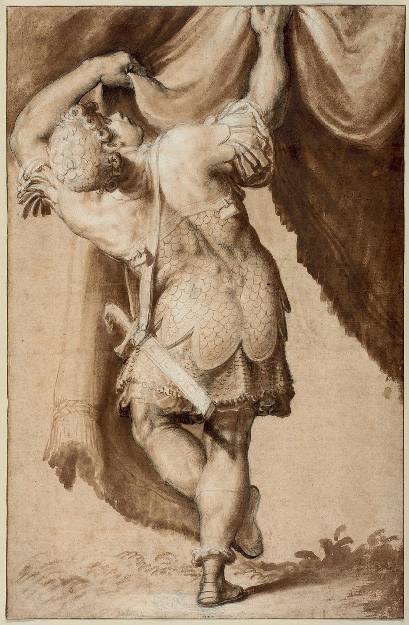 Jeune guerrier, vu de derrière, levant un rideau - Francesco Salviati